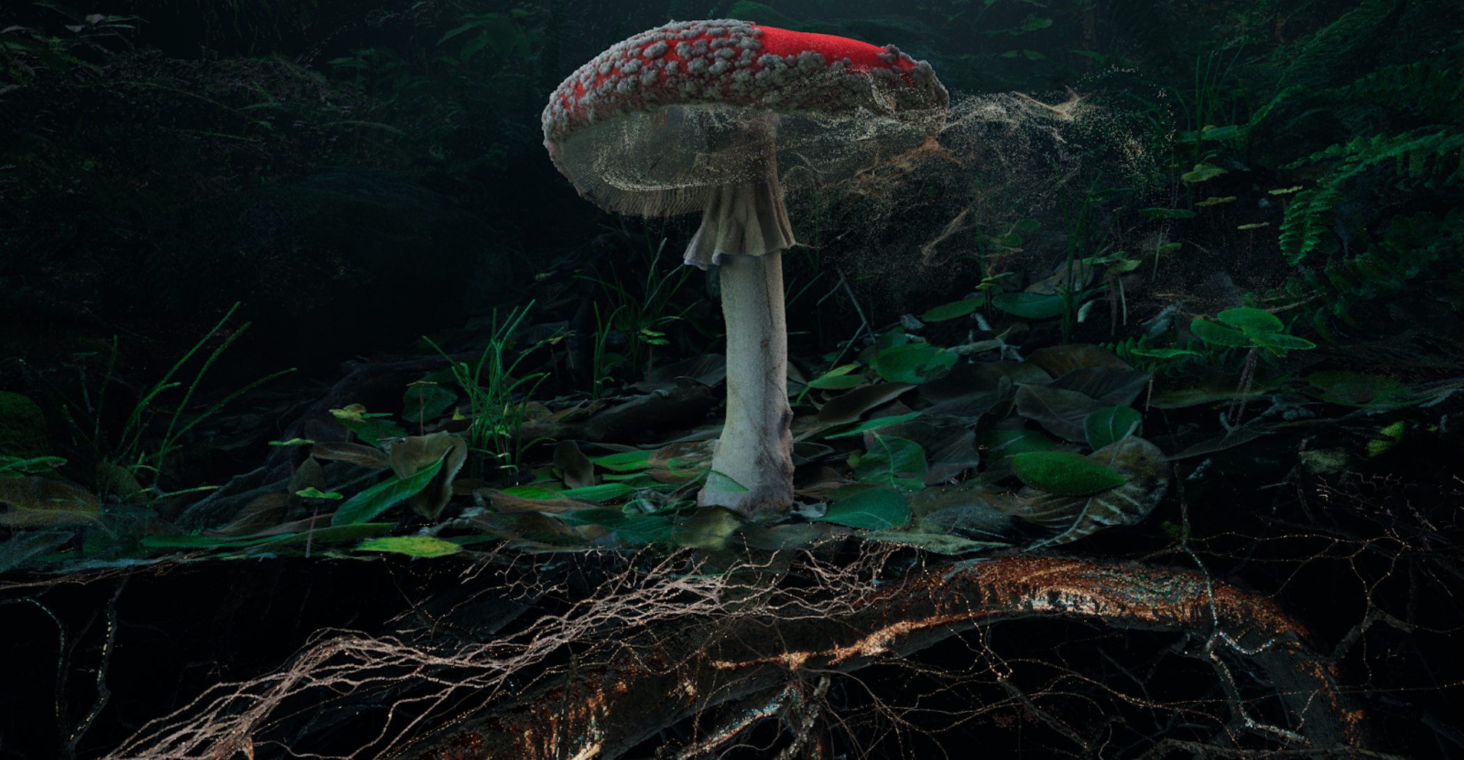 Poetics of Soil: Fly Agaric I