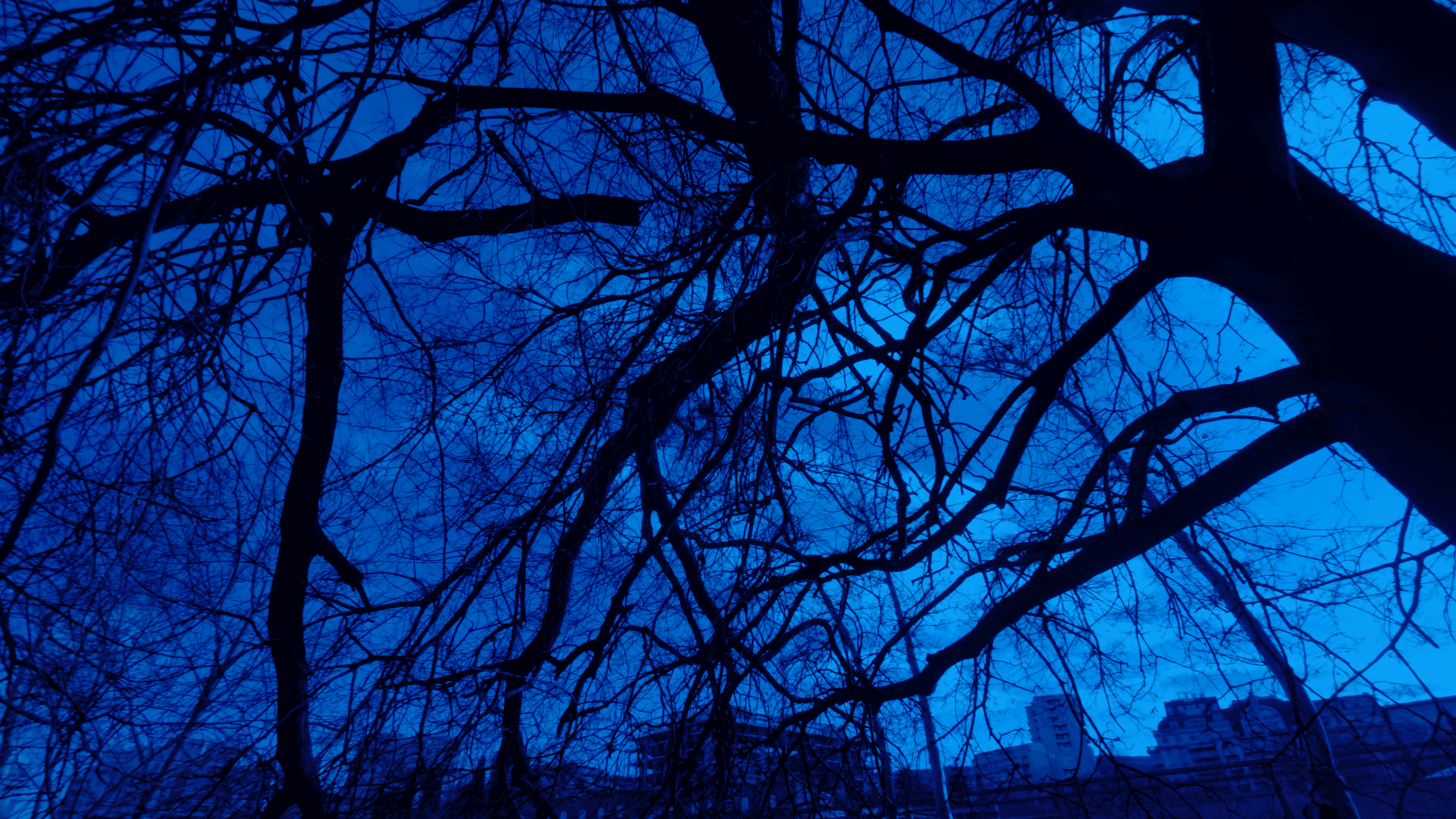 Radicals in Between Trees and Dicks