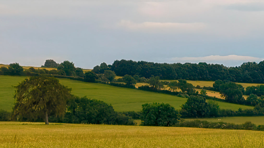 Reconstructed Landscape{s} – Hidcote Bartrim (i0)