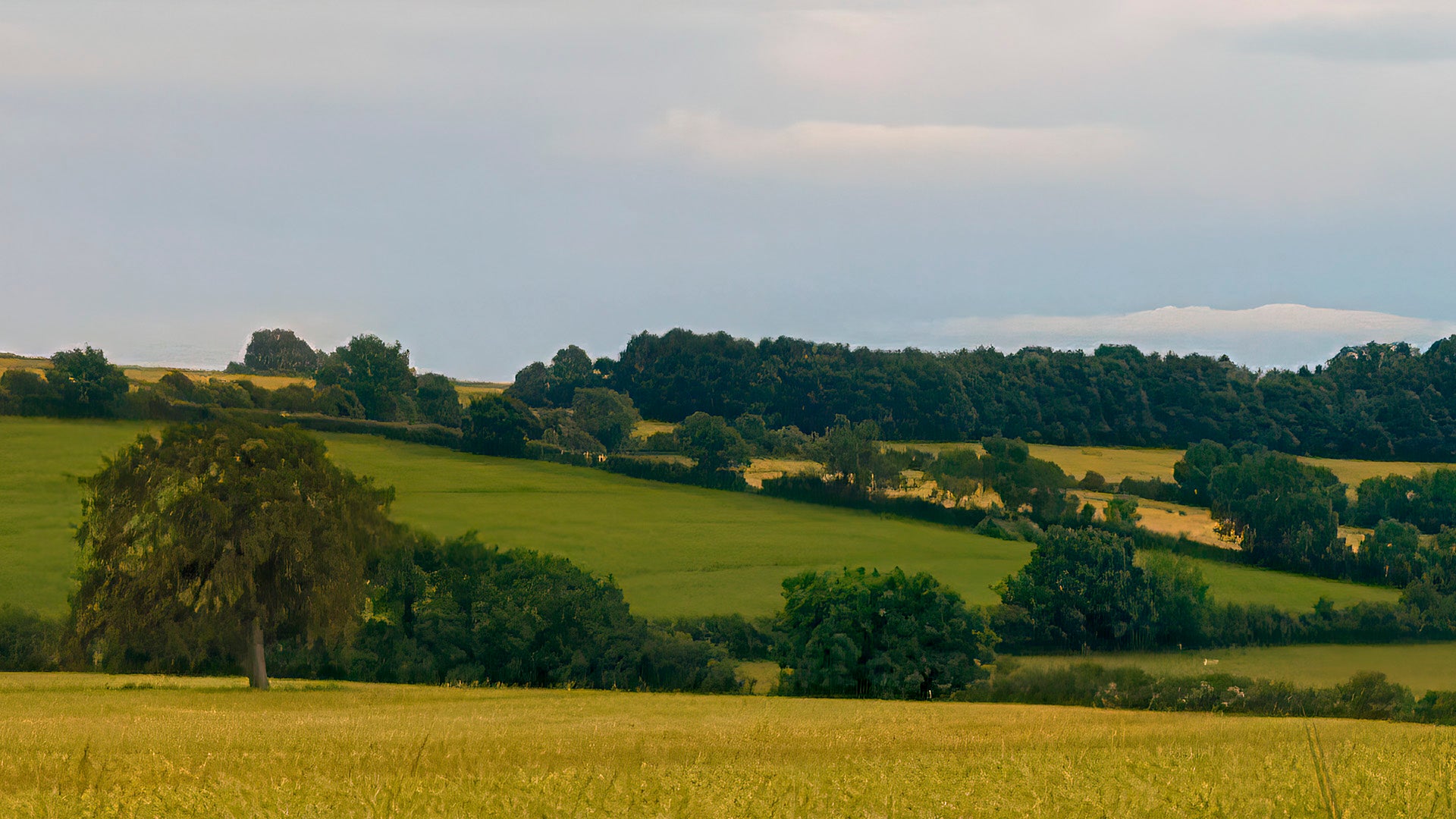 Reconstructed Landscape{s} – Hidcote Bartrim (i0)