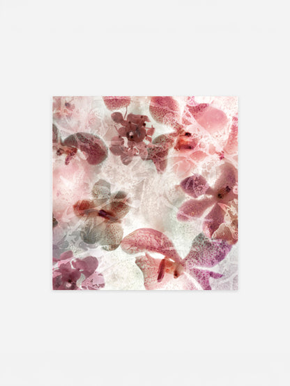 Fleurice 1