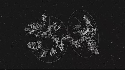 Speculations on Capture